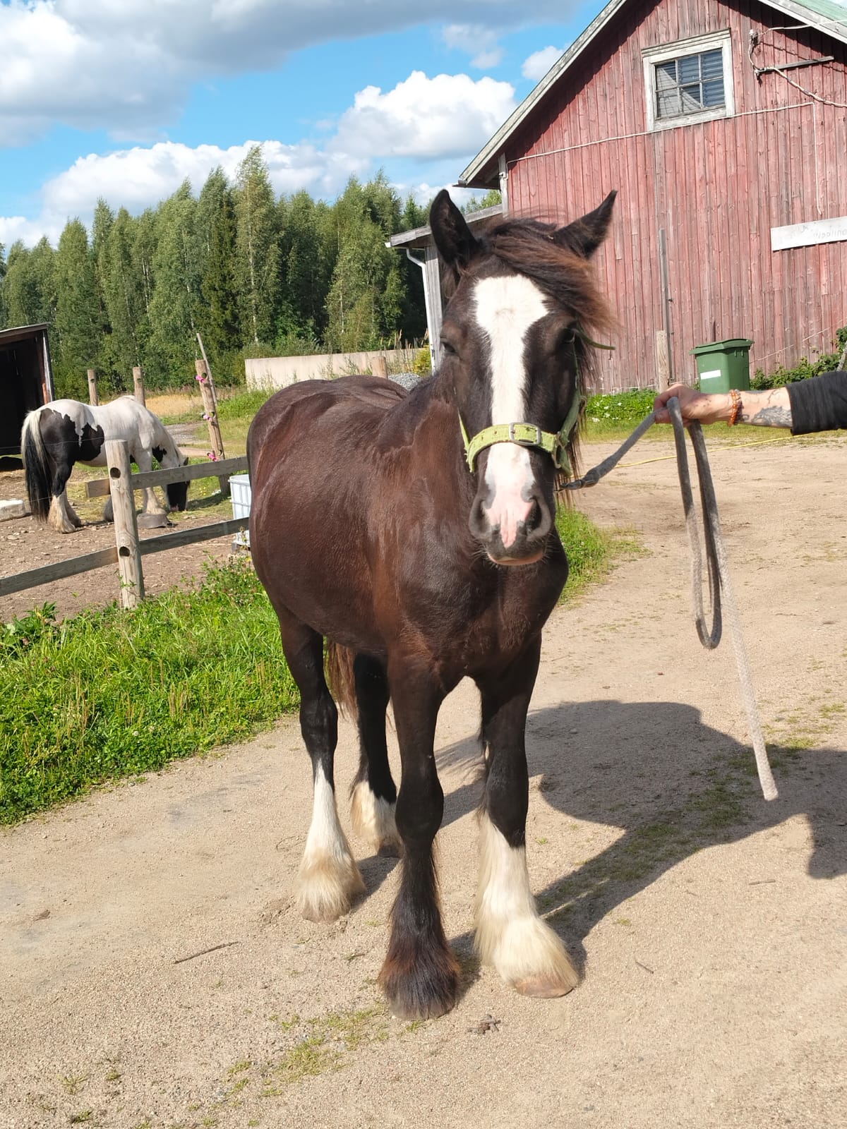 Kulkuri